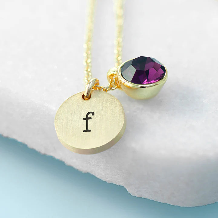 Personalized Initial Birthstone Crystal and Disc Necklace